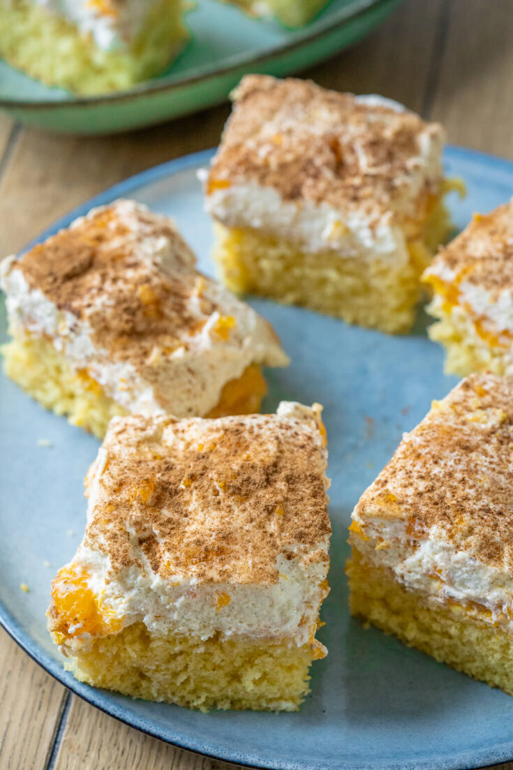 Fantakuchen mit Mandarinen - Schmandkuchen vom Blech - Einfach Malene