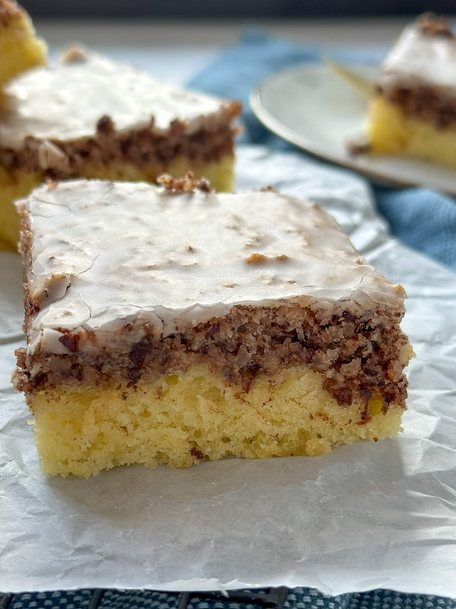 Nusskuchen - Nussschnitte